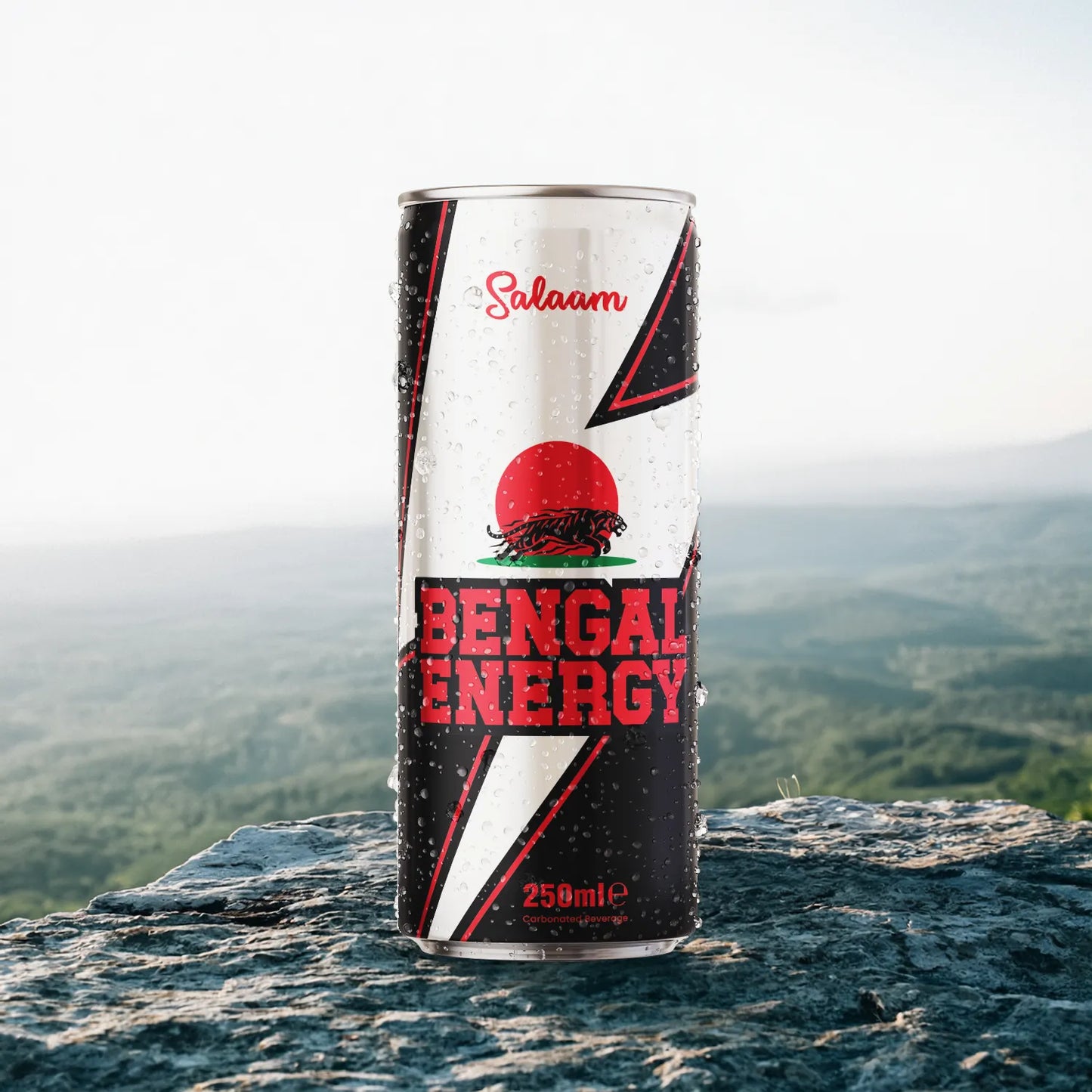 Salaam Energy Drink (24 x 330ml)