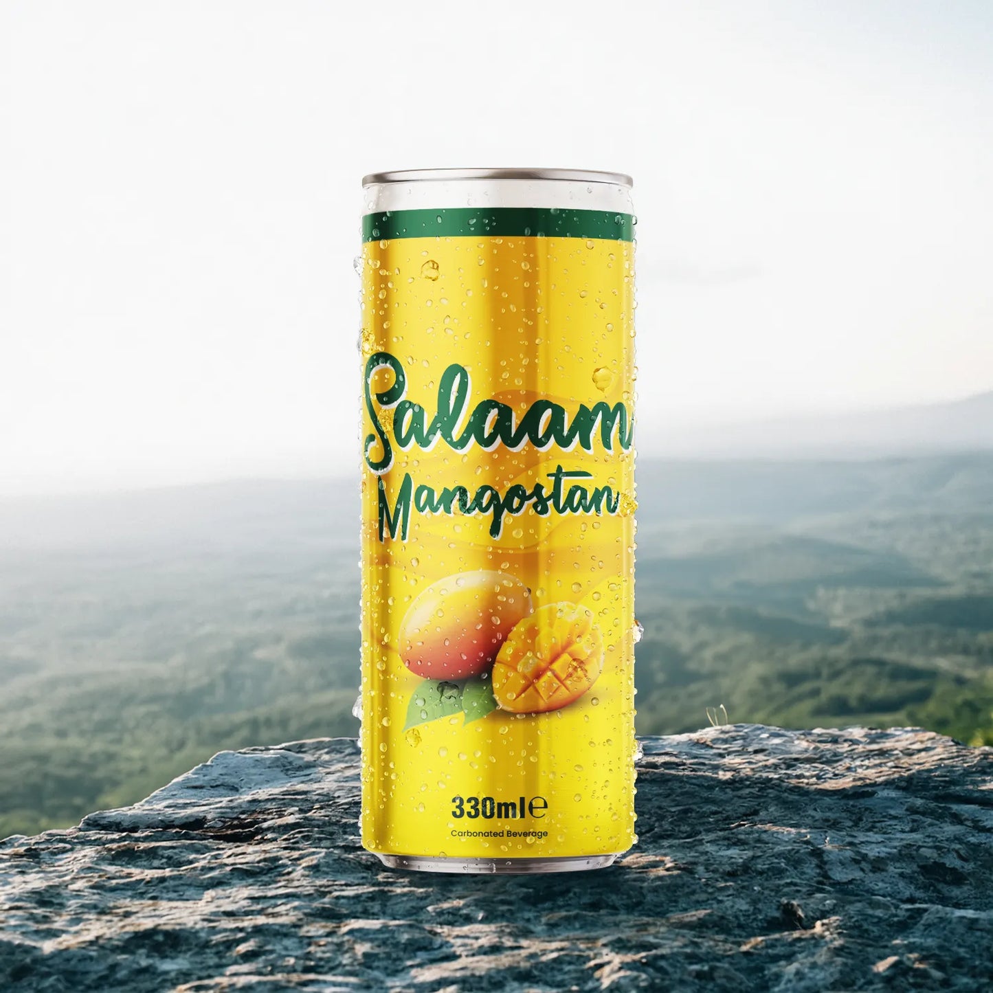 Salaam Mango (24 x 330ml)