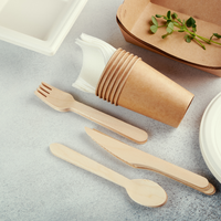Cutlery & Napkins